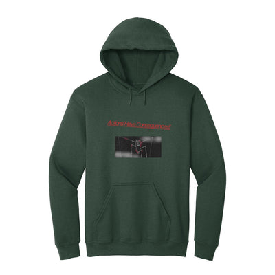 "Actions Have Consequences" Hoodie