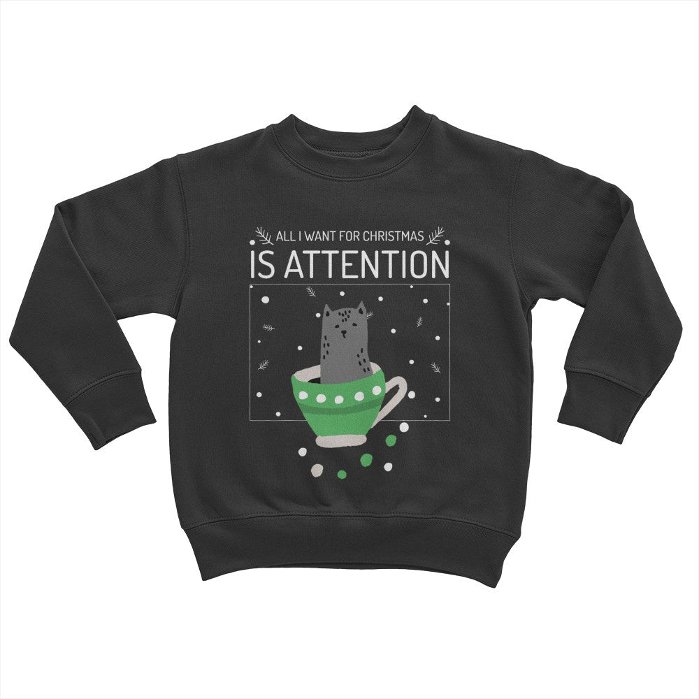 All I Want For Christmas Is Attention Youth Sweater