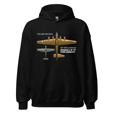 B-17 and BF-109 (Color with text)
