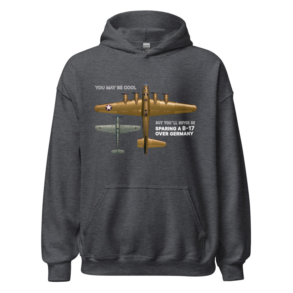 B-17 and BF-109 (Color with text)