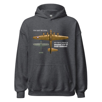 B-17 and BF-109 (Color with text)