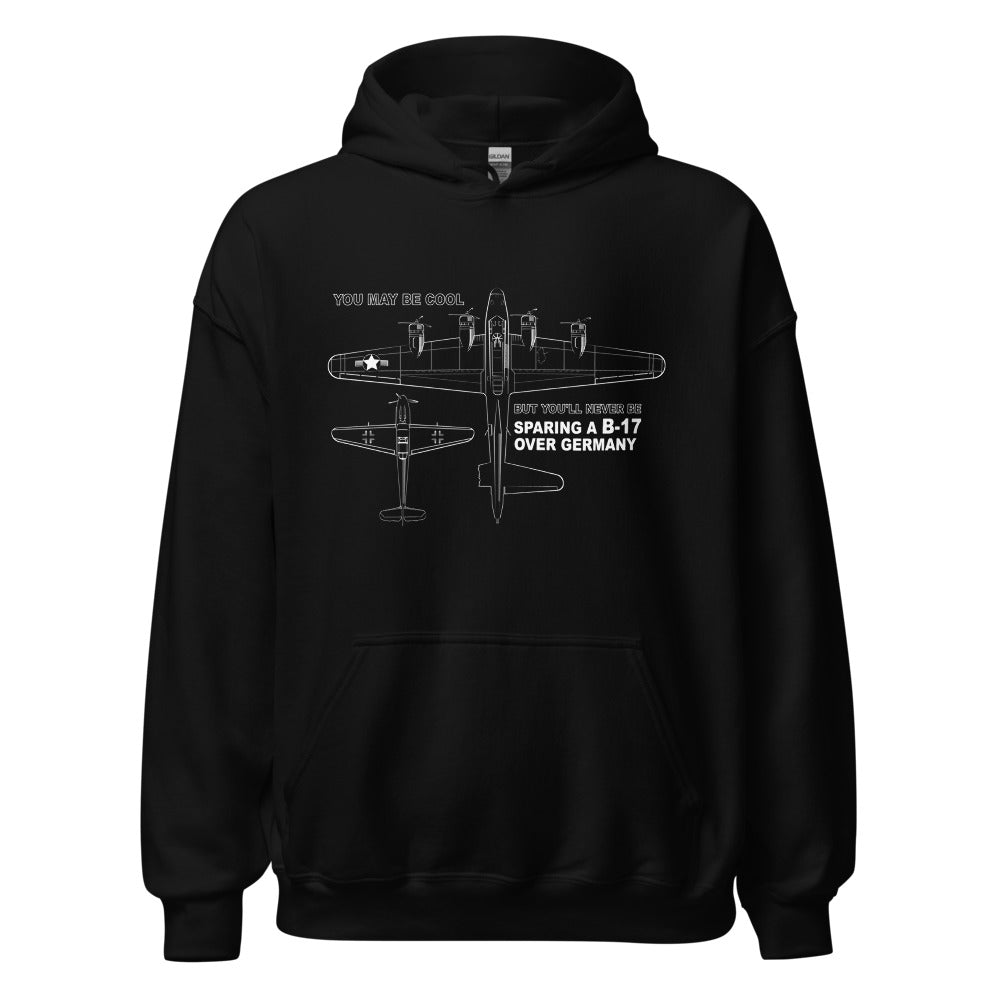B-17 and BF-109 You May Be Cool