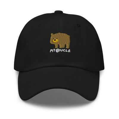 Cute Bear Hat