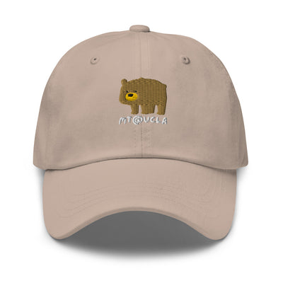 Cute Bear Hat