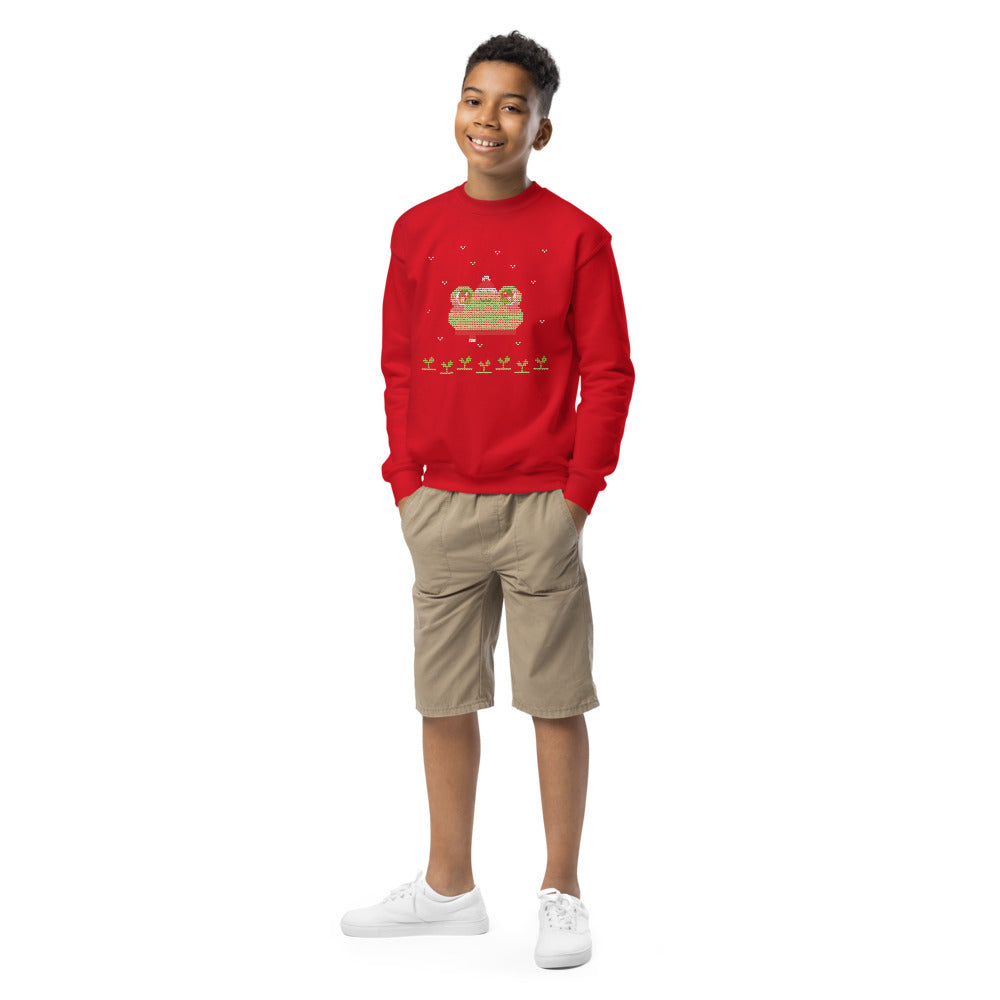 Froggycrossing Holiday Youth Sweater
