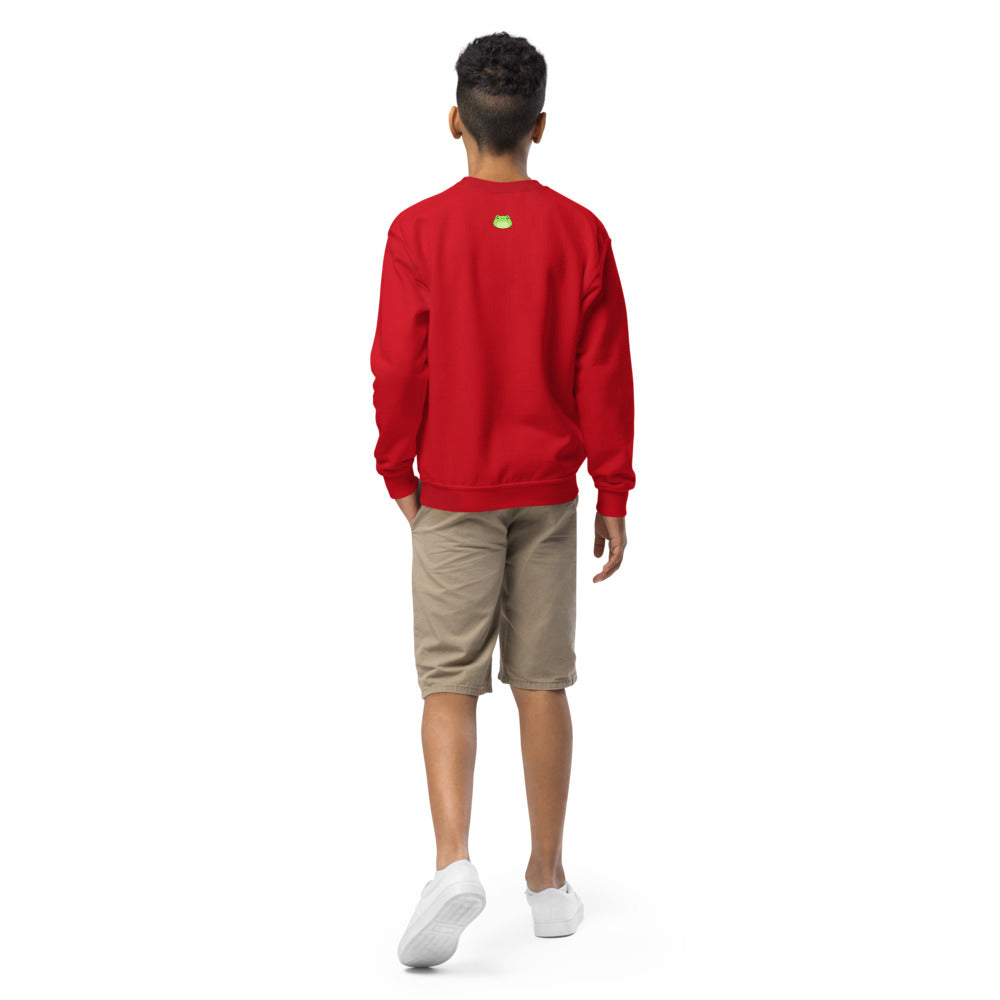 Froggycrossing Holiday Youth Sweater