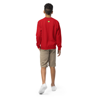 Froggycrossing Holiday Youth Sweater