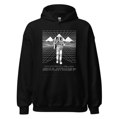 How Do You Do, Fellow Simulations? Hoodie