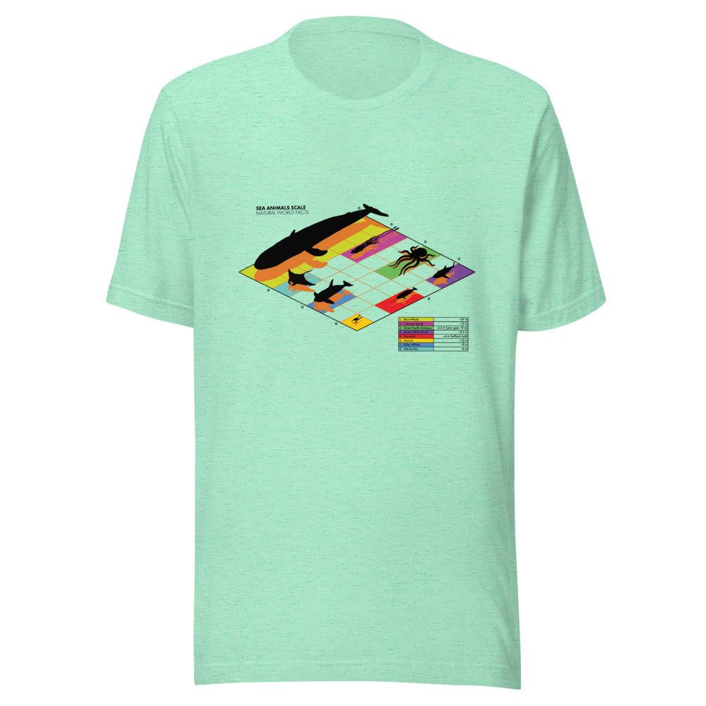 Marine life sizes colour tee