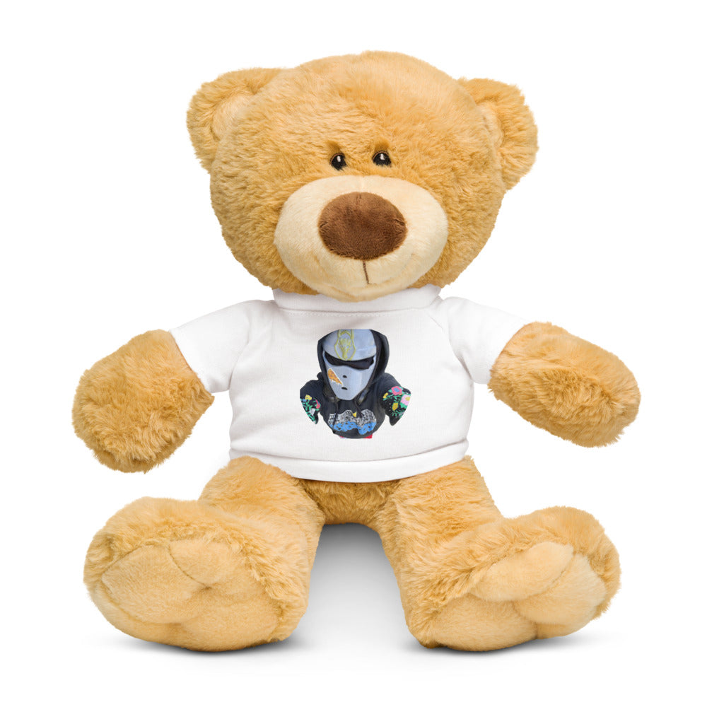 Mysterious kid teddy bear