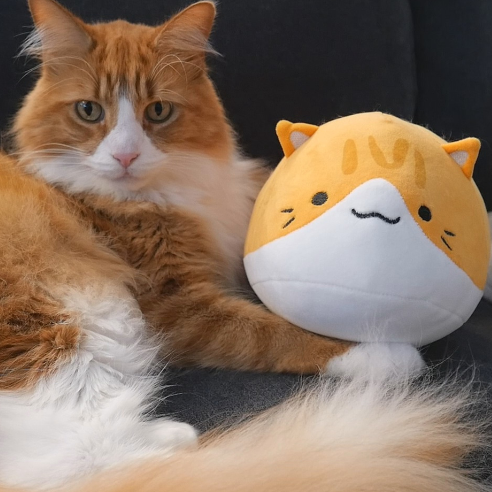 Cat Plushie Set (pre-sale)