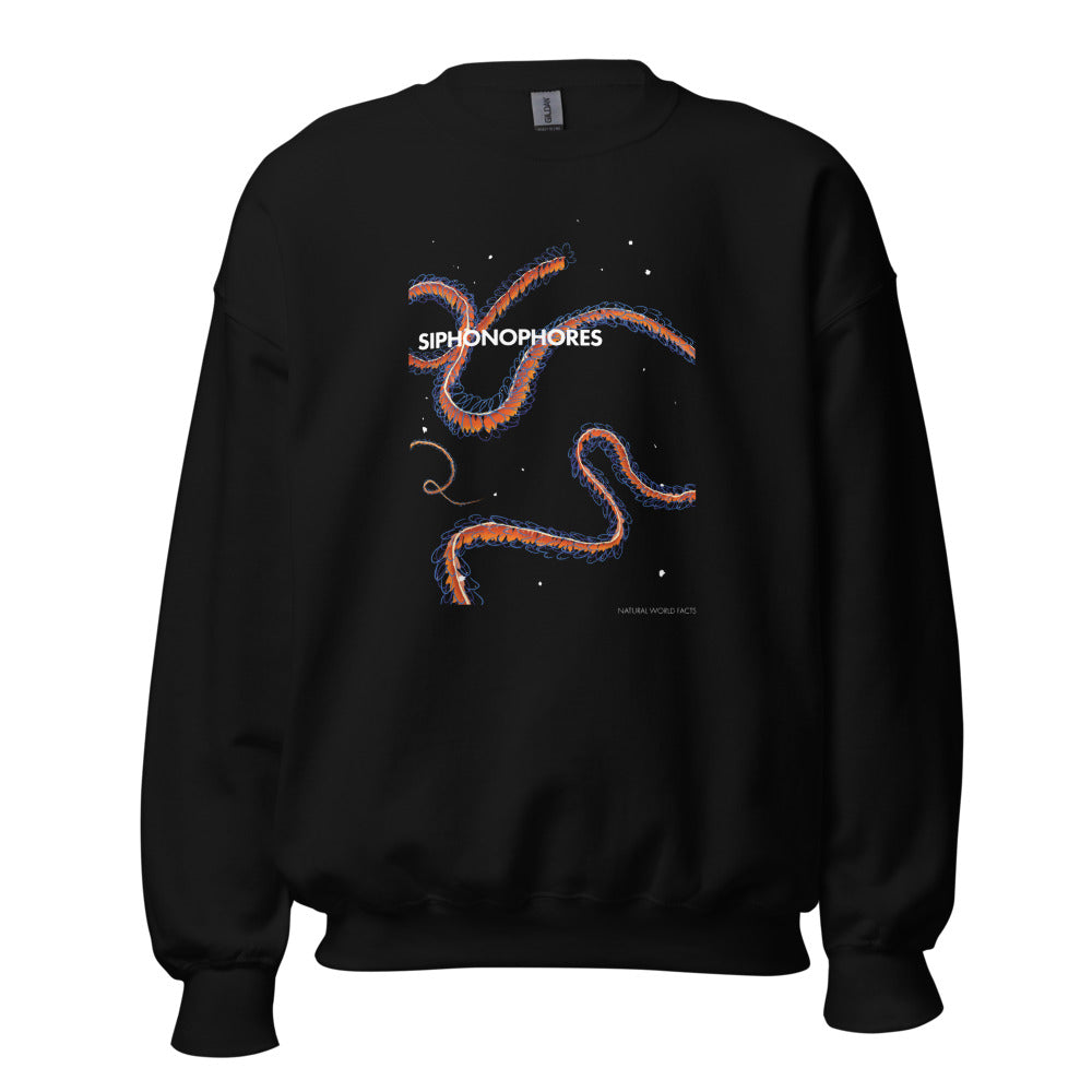 Siphonophore sweatshirt