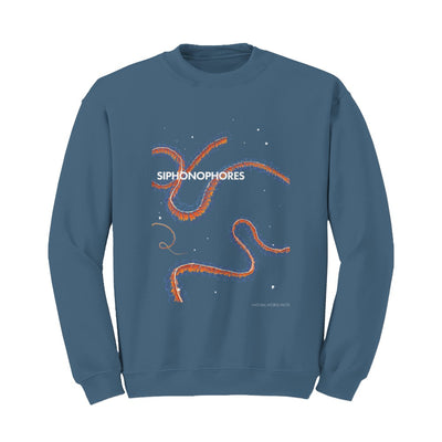 Siphonophore sweatshirt