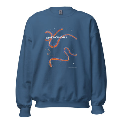 Siphonophore sweatshirt