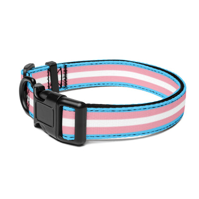 Trans Dog Collar
