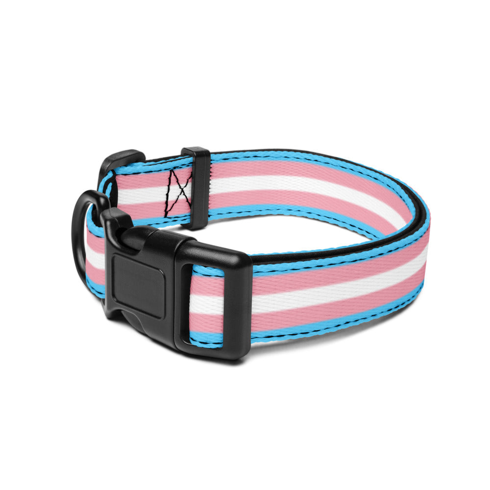 Trans Dog Collar