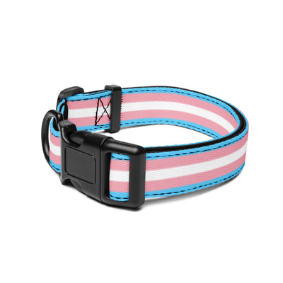 Trans Dog Collar