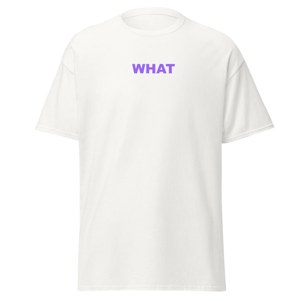 (WHAT) just a plane and simple what tee