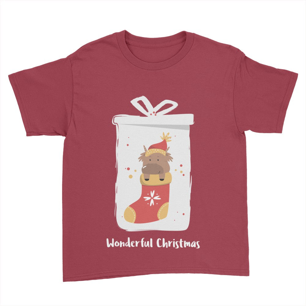 Wonderful Christmas Youth Shirt