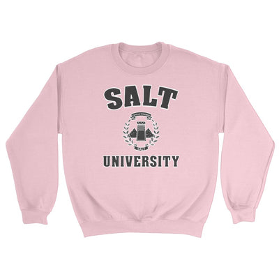 Salt University Sweater (Light)