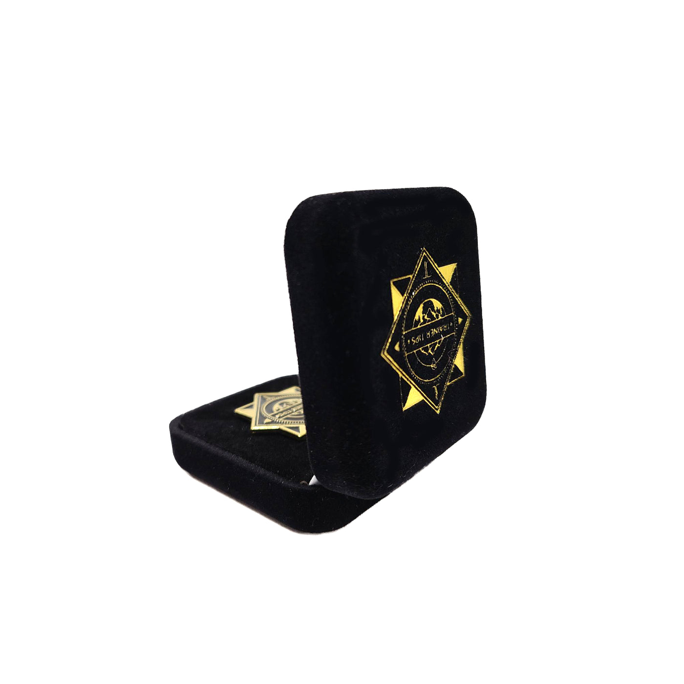 Trainer Tips 1st Gen Logo Pin + Display Box – Crowdmade