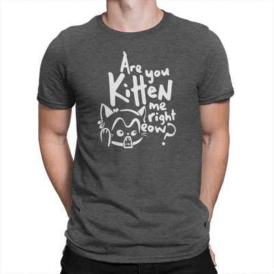 Are You Kitten Me - Unisex T-Shirt Heather Charcoal