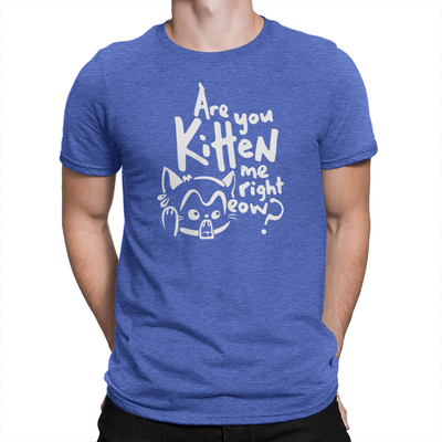 Are You Kitten Me - Unisex T-Shirt Heather Royal